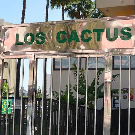 Los Cactus بلايا ديل إنغلز المظهر الخارجي الصورة