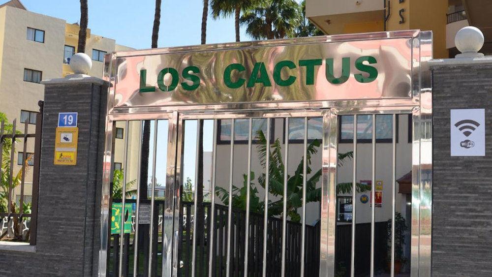 Los Cactus بلايا ديل إنغلز المظهر الخارجي الصورة